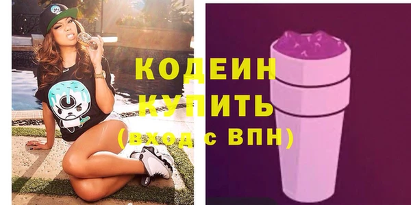 шишки Нязепетровск
