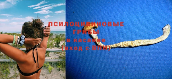 стафф Нягань