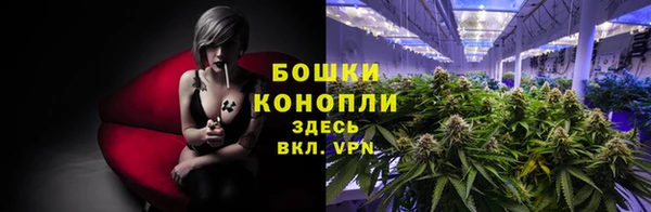 шишки Нязепетровск