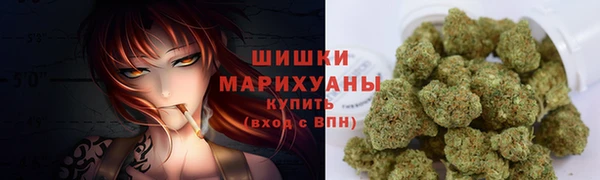шишки Нязепетровск