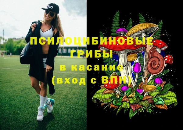 шишки Нязепетровск
