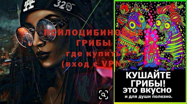 шишки Нязепетровск