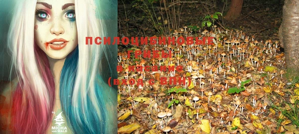 mix Няндома