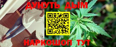 a pvp Гатчина