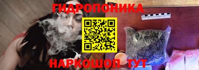 a pvp Гатчина