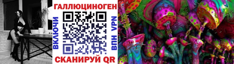 купить закладку Ейск Галлюциногенные грибы Psilocybine cubensis