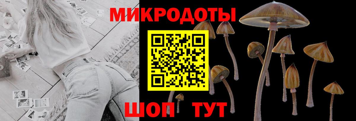 Галлюциногенные грибы Magic Shrooms Ейск