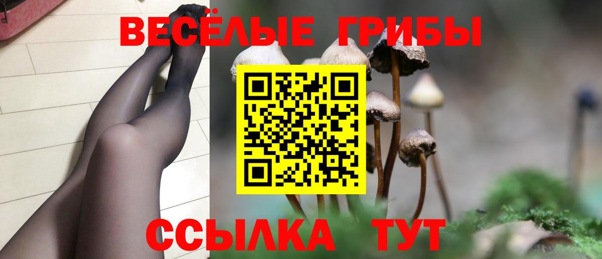 Псилоцибиновые грибы Cubensis  Галлюциногенные грибы Psilocybe  Ейск  Вход с VPN 
