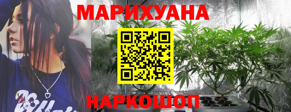 Бошки марихуана планчик  Ейск  Бошки марихуана SATIVA & INDICA 